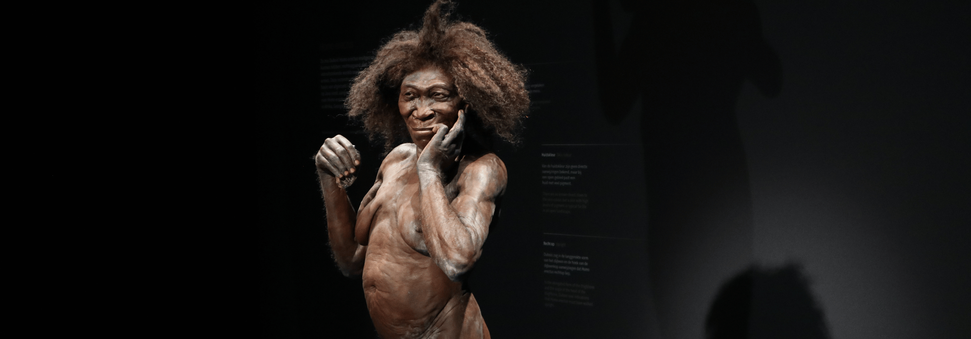 De Wereldberoemde Limburger Die Bijna Niemand Kent