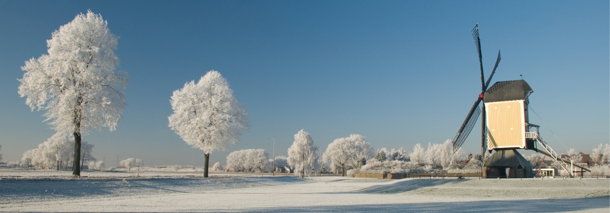 Molen van Baexem Sneeuw