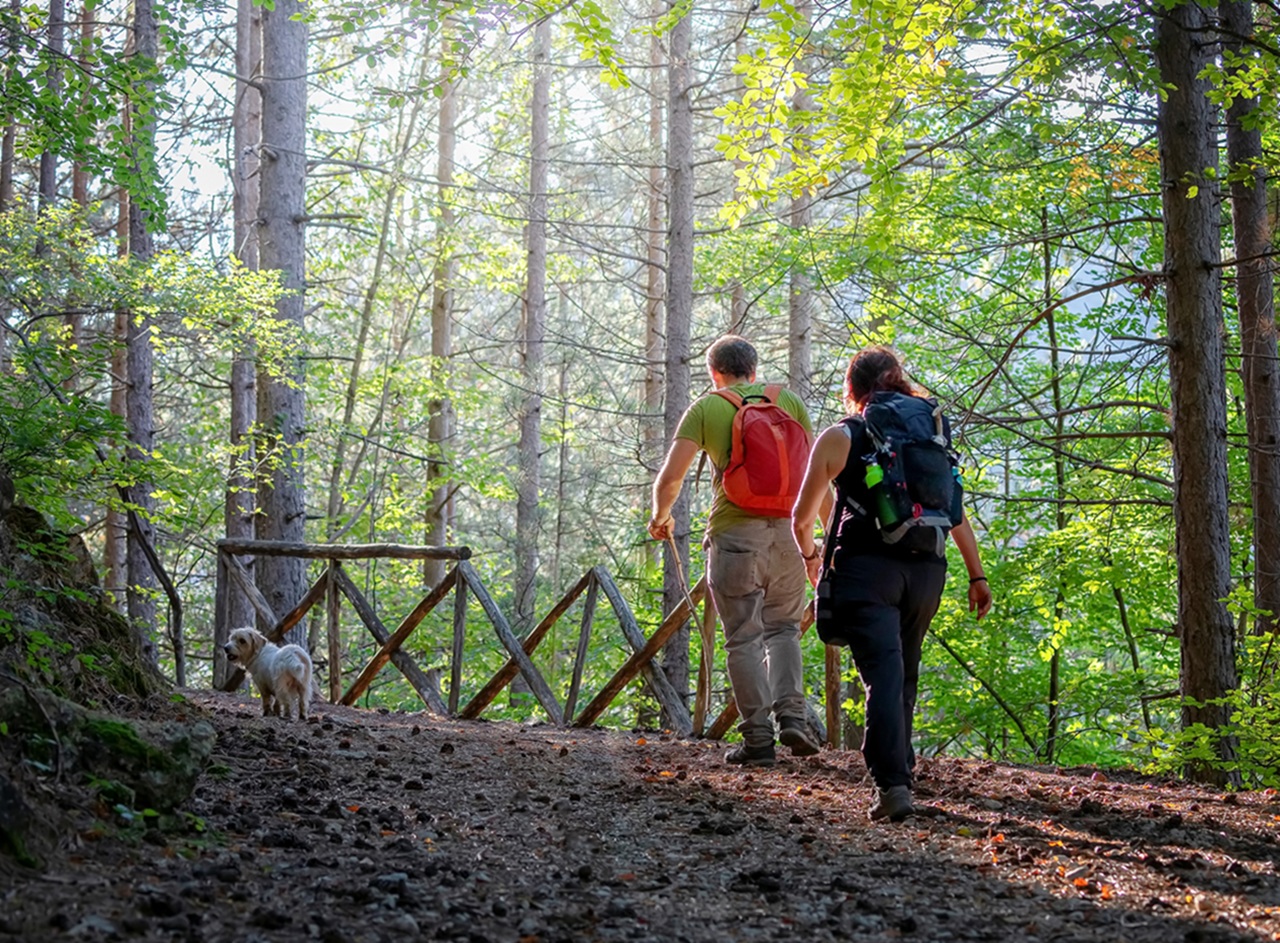 2 mensen lopen door het bos in de zomer
