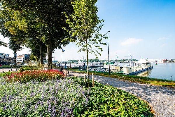 Fahrradweg entlang der Maas im Schifferdorf Maasbracht