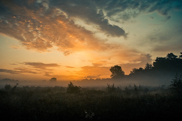 Nationaal Park De Meinweg gehuld in een ochtendnevel bij zonsopkomst