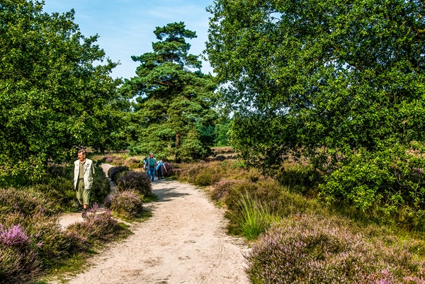 People walk through Roerdalen's beautiful countryside with a guide