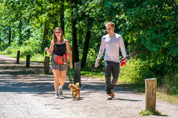 Couple hiking with the dog through the IJzeren Man area in Weert