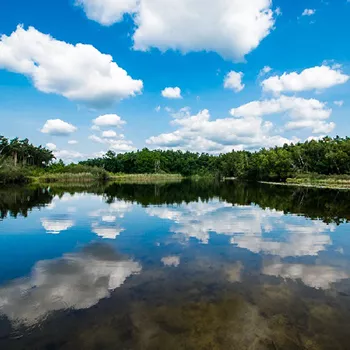 Water bij Luzenkamproute in de Meinweg