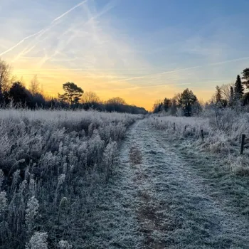 Winterse zonsopkomst boven een met rijp bedekt wandelpad in Nationaal Park De Meinweg in de gemeente Roerdalen.
